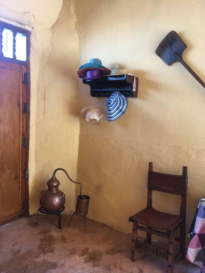 Las Violetas Villanueva De Los Infantes Dış mekan fotoğraf